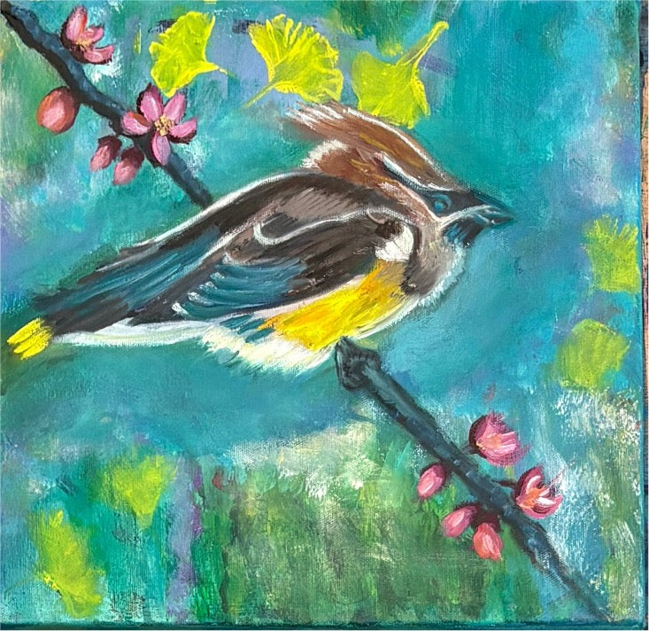 Cedar Waxwing